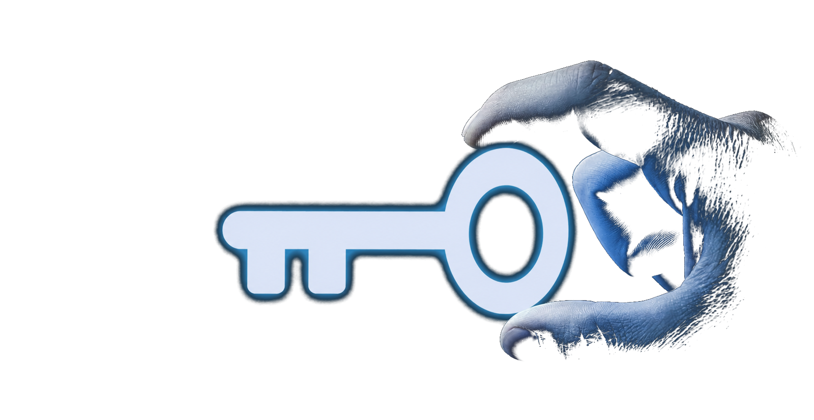 Biometric access protection and IT security